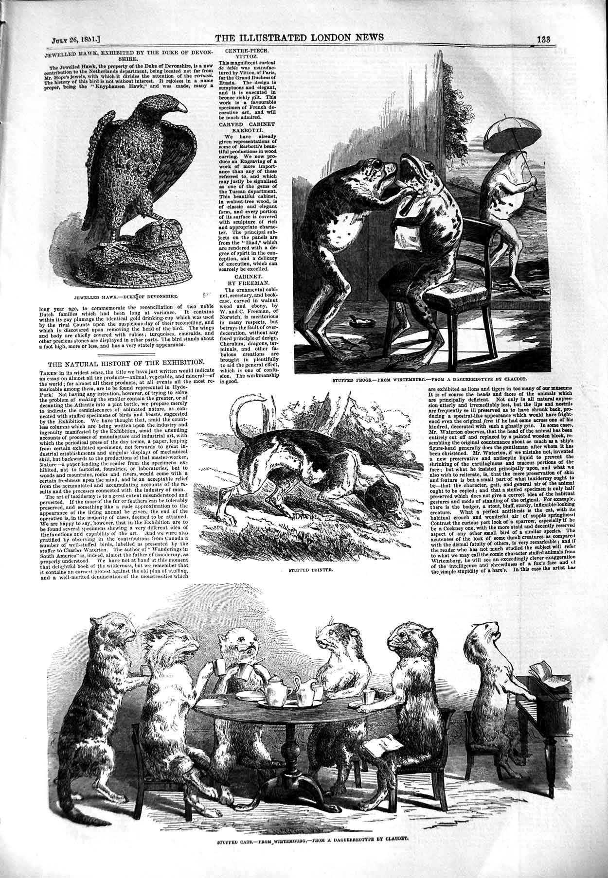 Original Old Antique Print 1851 Stuffed Cats Pointer Dog Jewelles Hawk Animals
