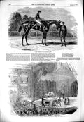 Original Old Antique Print 1851 Nancy Horse Goodwood Cup Sport Drury Victorian