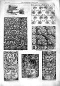 Old Antique Print 1851 Lace Lappet Pattern Silk Wool Vases Slate Cabinet 19th