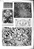 Old Antique Print 1851 Carpet Pattern Damask China Stove Chandelier Glass 19th