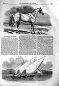Old Antique Print 1851 Tam Shanter Horse Buenos Ayres Boat Rajah Johore 19th