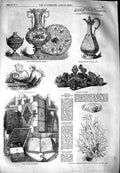 Original Old Antique Print 1851 Group China Silver Claret Jug Coral Iris 19th