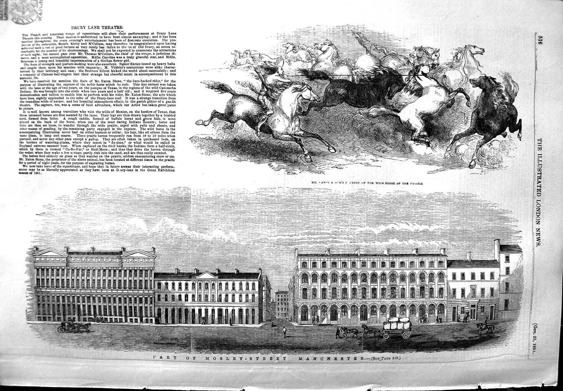 Original Old Antique Print 1851 Mosley Street Manchester Wild Horses Victorian