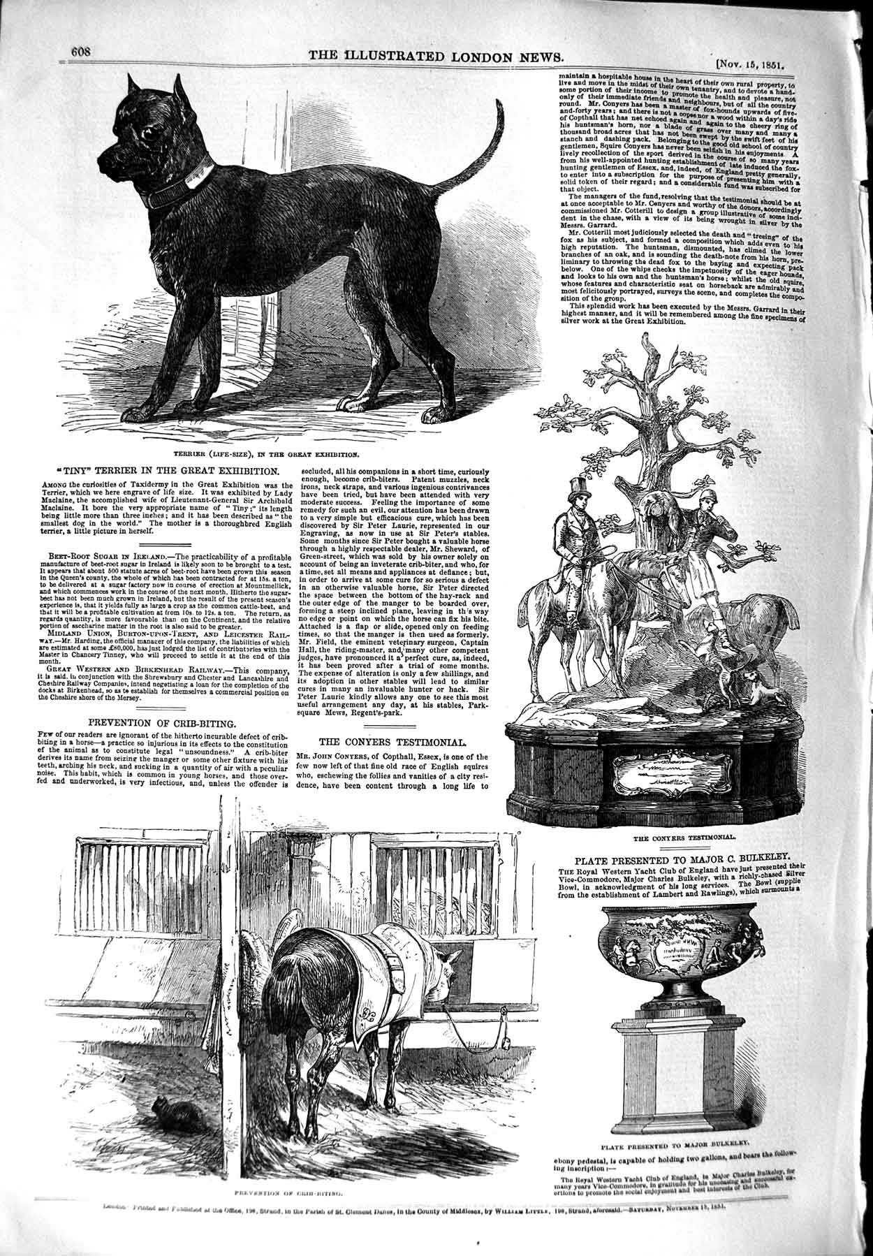 Original Old Antique Print 1851 Terrier Dog Horse Crib-Biting Conyers Bulkeley