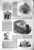 Old Antique Print 1851 Monument Duke Northumberland School Ipswich Lamb 19th