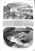 Original Old Antique Print 1851 Smithfield Cattle Show Ship Pekin Typhoo 19th