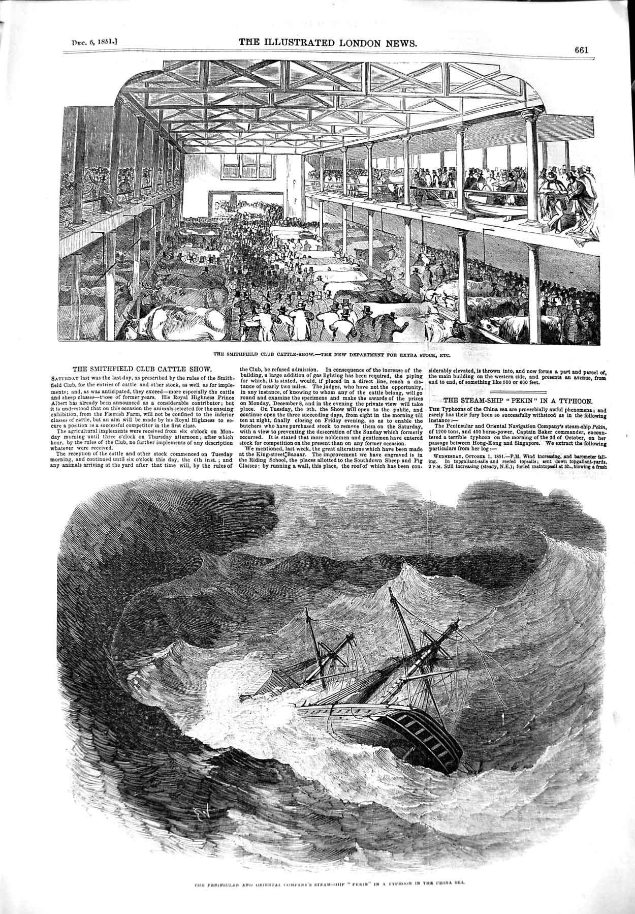 Original Old Antique Print 1851 Smithfield Cattle Show Ship Pekin Typhoo 19th