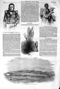 Original Old Antique Print 1852 Pampas Grass Grahams Town Kaffir Pedro 19th