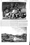 Old Antique Print 1852 View Lake Thun Mountains Boat Animals Birds Earl 19th