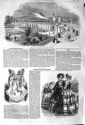 Original Old Antique Print 1852 Railway Traffic Bridge Dresden Paris Fashion