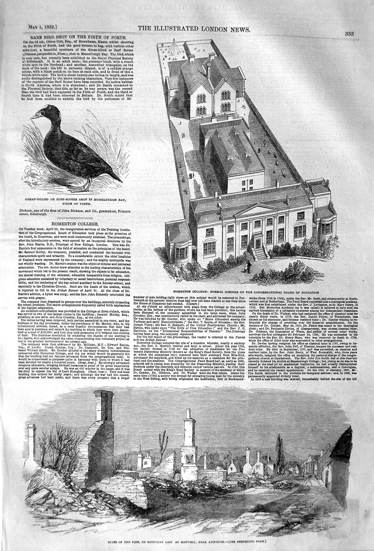 Original Old Antique Print 1852 Surf-Scoter Bird Homerton College Harwell Fire