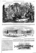 Old Antique Print 1852 Sydenham Silesian Building Breslau Pike Fish Colne 19th