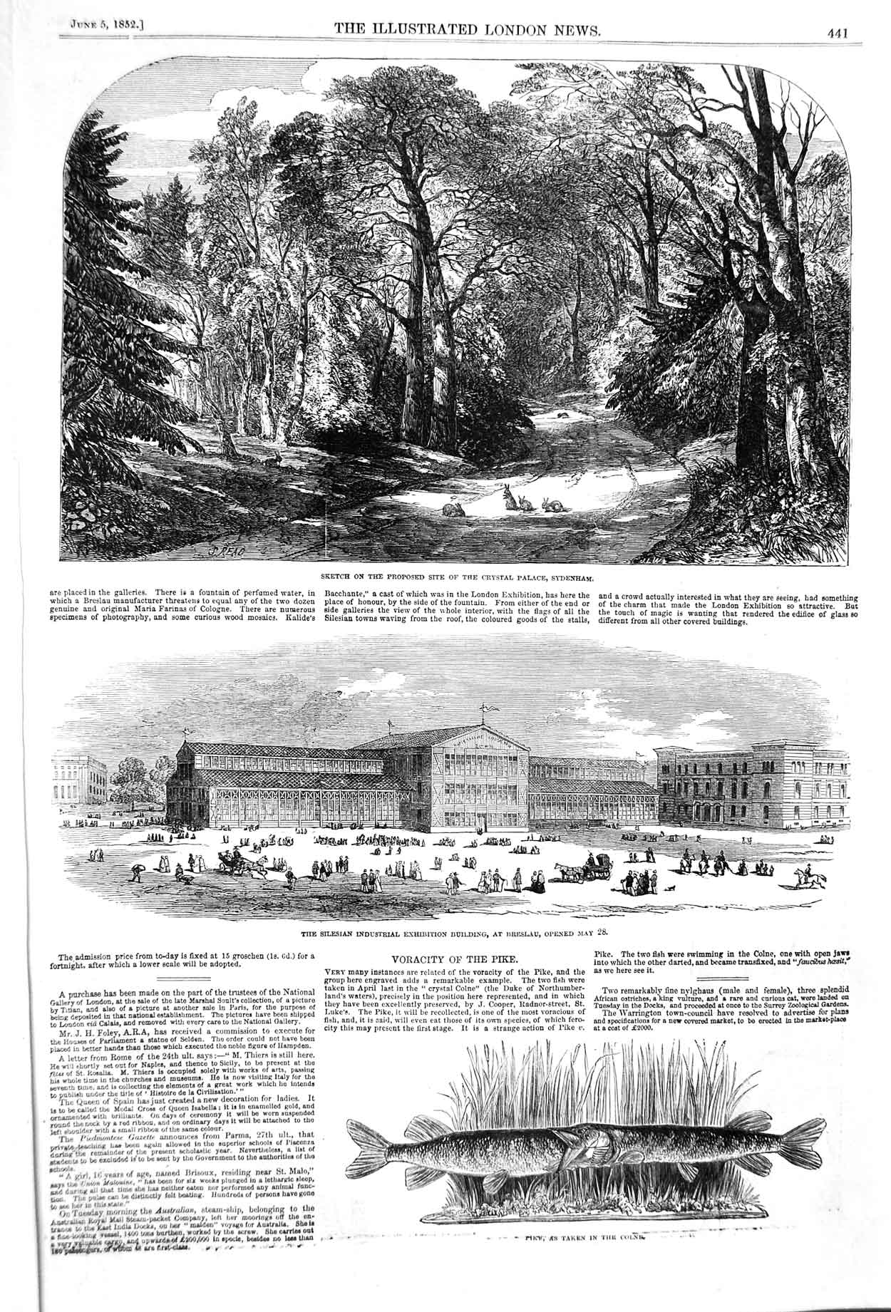 Old Antique Print 1852 Sydenham Silesian Building Breslau Pike Fish Colne 19th