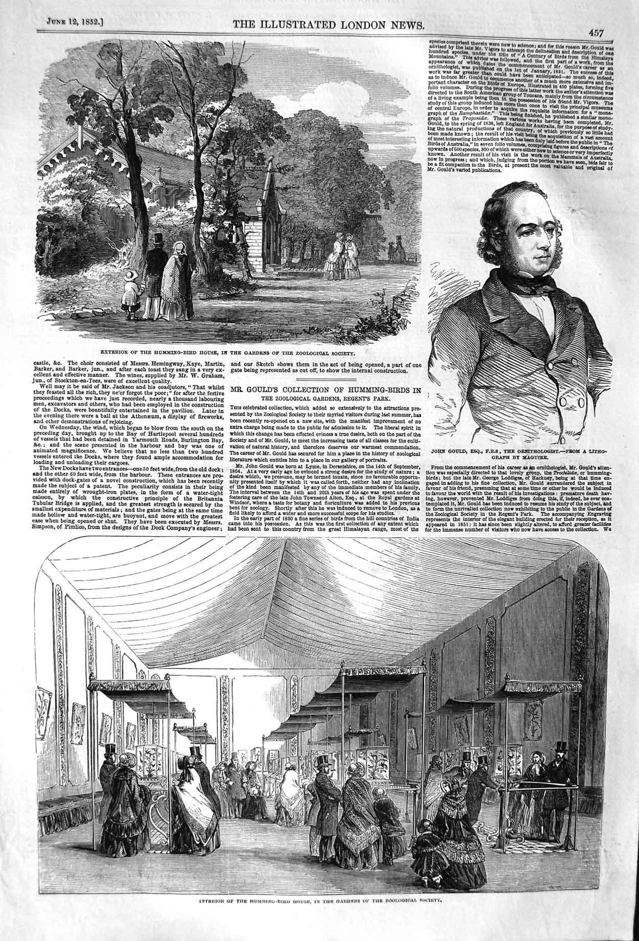 Original Old Antique Print 1852 Humming Bird House Zoological Gardens Joh 19th