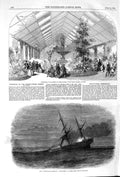 Old Antique Print 1852 Ship Birkenhead Cape Champs Elysees Horticulture 19th