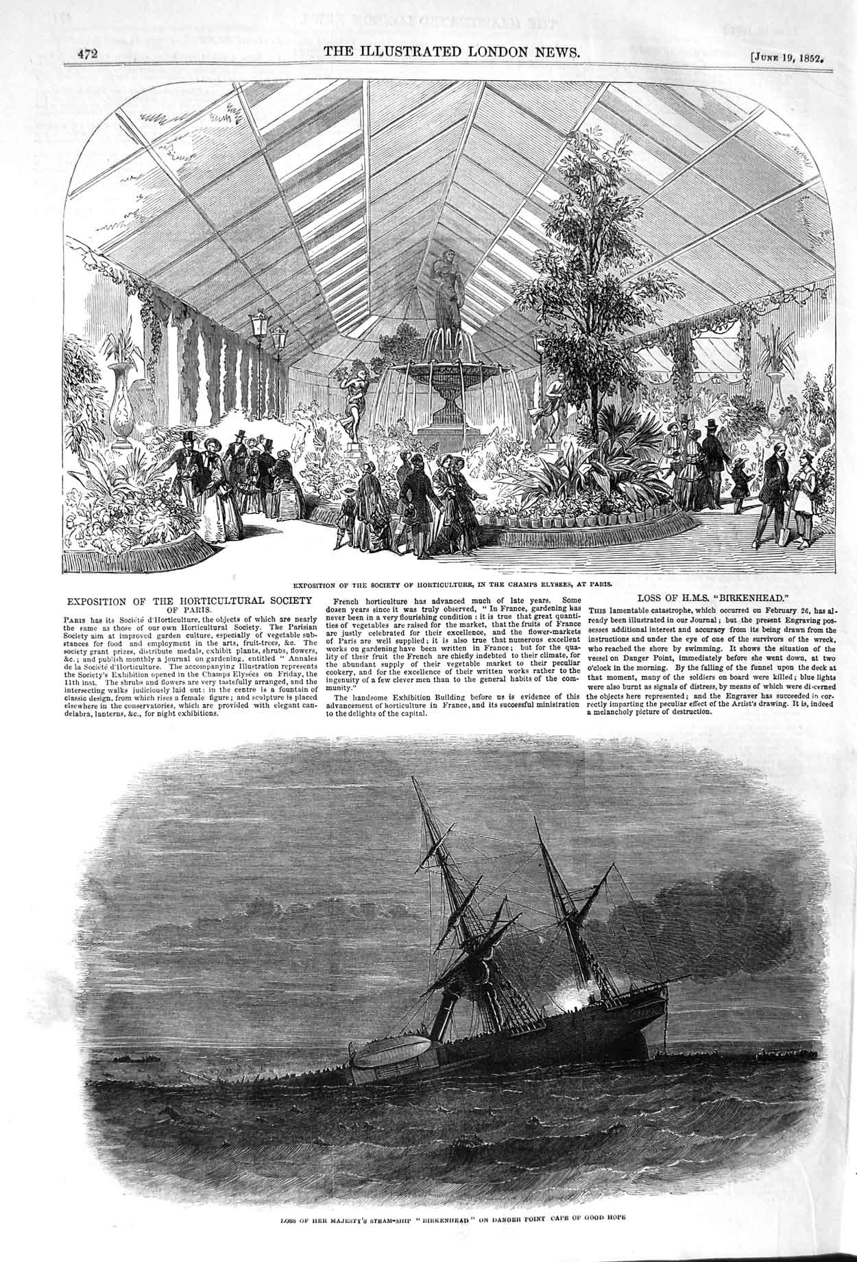 Old Antique Print 1852 Ship Birkenhead Cape Champs Elysees Horticulture 19th