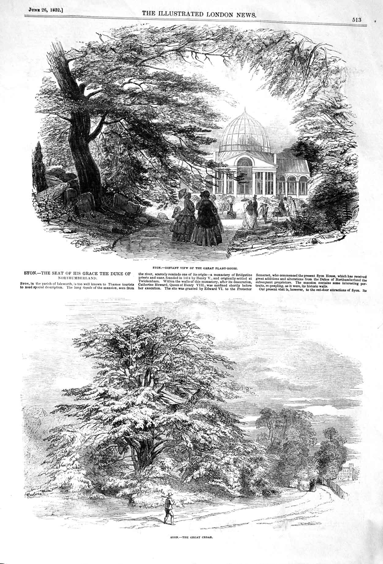 Original Old Antique Print 1852 Syon Great Plant House Duke Northumberla 19th
