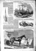 Old Antique Print 1852 Lord John Scott Reiver Horse Indus Ship Blackwall 19th