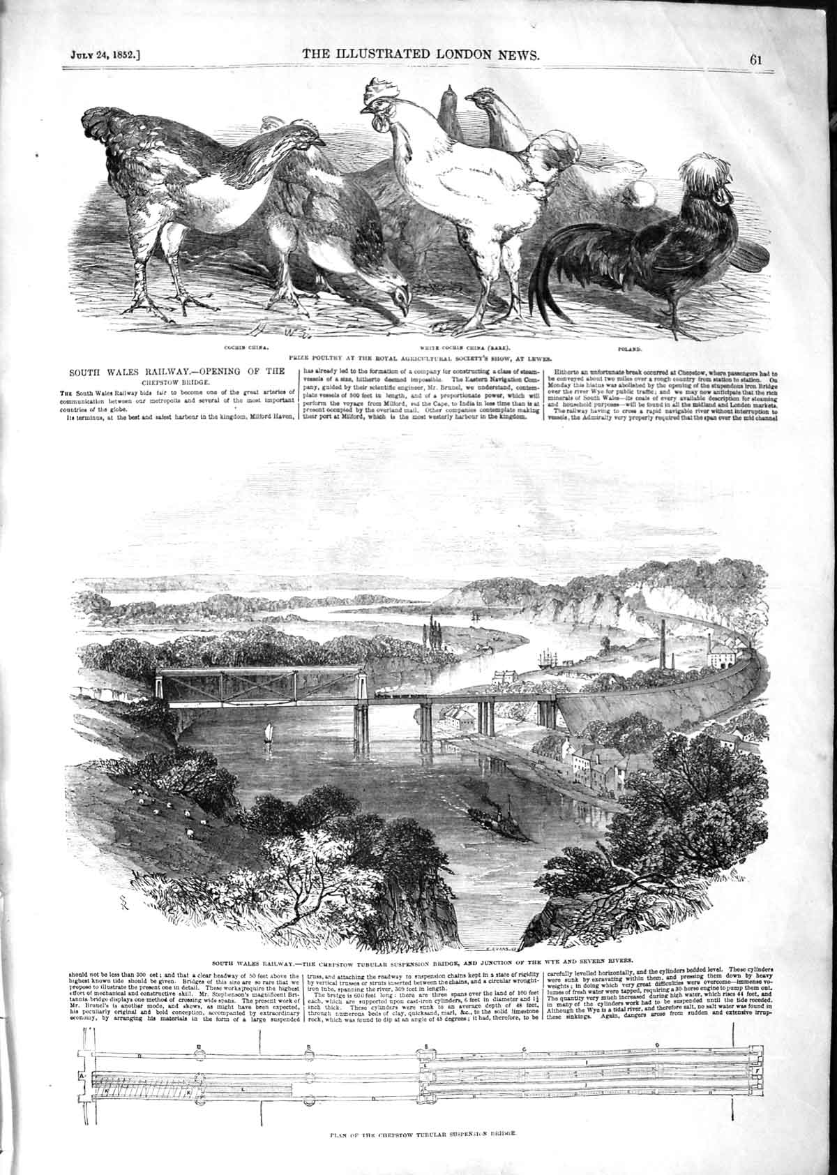 Old Antique Print 1852 Chepstow Tubular Bridge Railway Wales Birds Lewes 19th