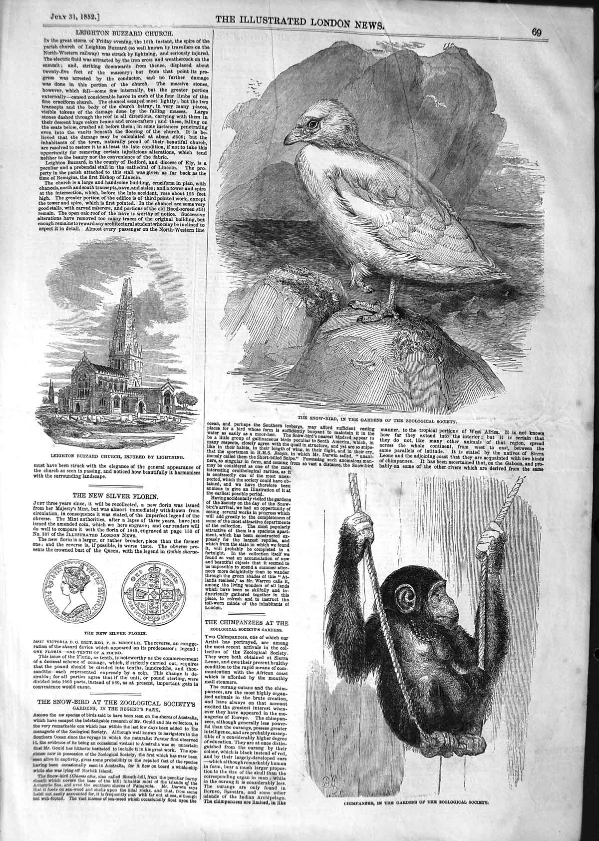 Original Old Antique Print 1852 Leighton Buzzard Church Snow-Bord Chimpanzee