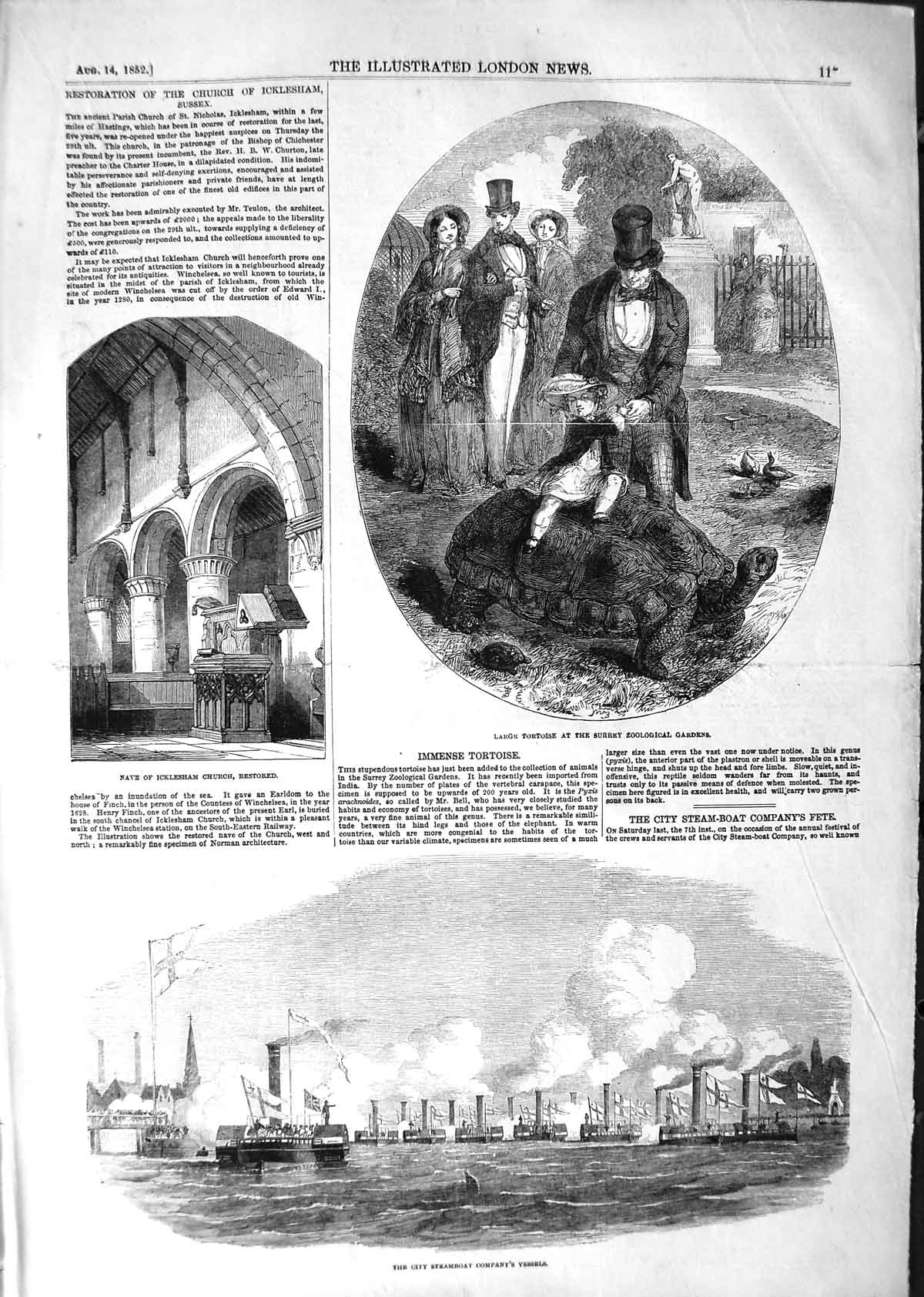 Old Antique Print 1852 Tortoise Surrey Icklesham Church Steamboat London 19th