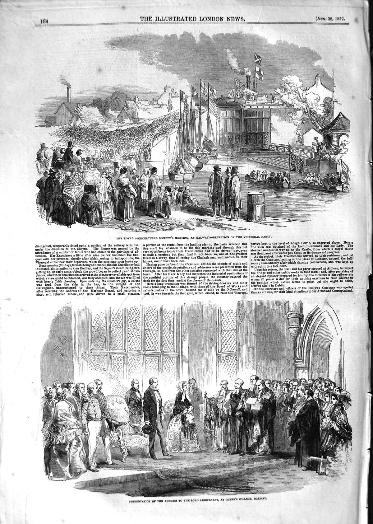 Old Antique Print 1852 Lord Lieutenant Queen College Galway Agricultural 19th