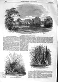 Original Old Antique Print 1852 Strathfieldsay Duke Wellington Pleasure-Grounds