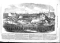 Old Antique Print 1852 Show Manchester Liverpool Agricultural Haymarket 19th