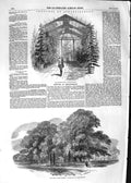 Original Old Antique Print 1852 Conservatory Strathfieldsay Grave Copenhagen