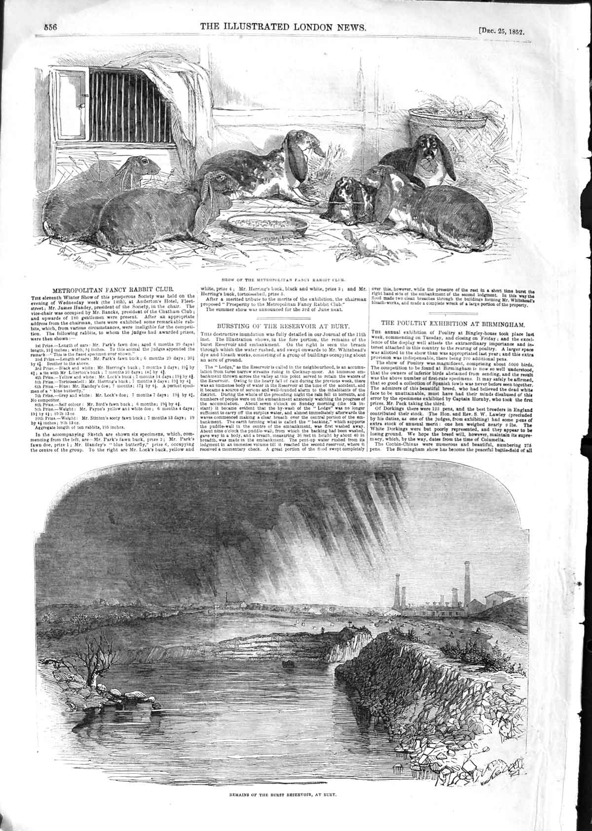 Original Old Antique Print 1852 Metropolitan Fancy Rabbit Burst Reservoir Bury