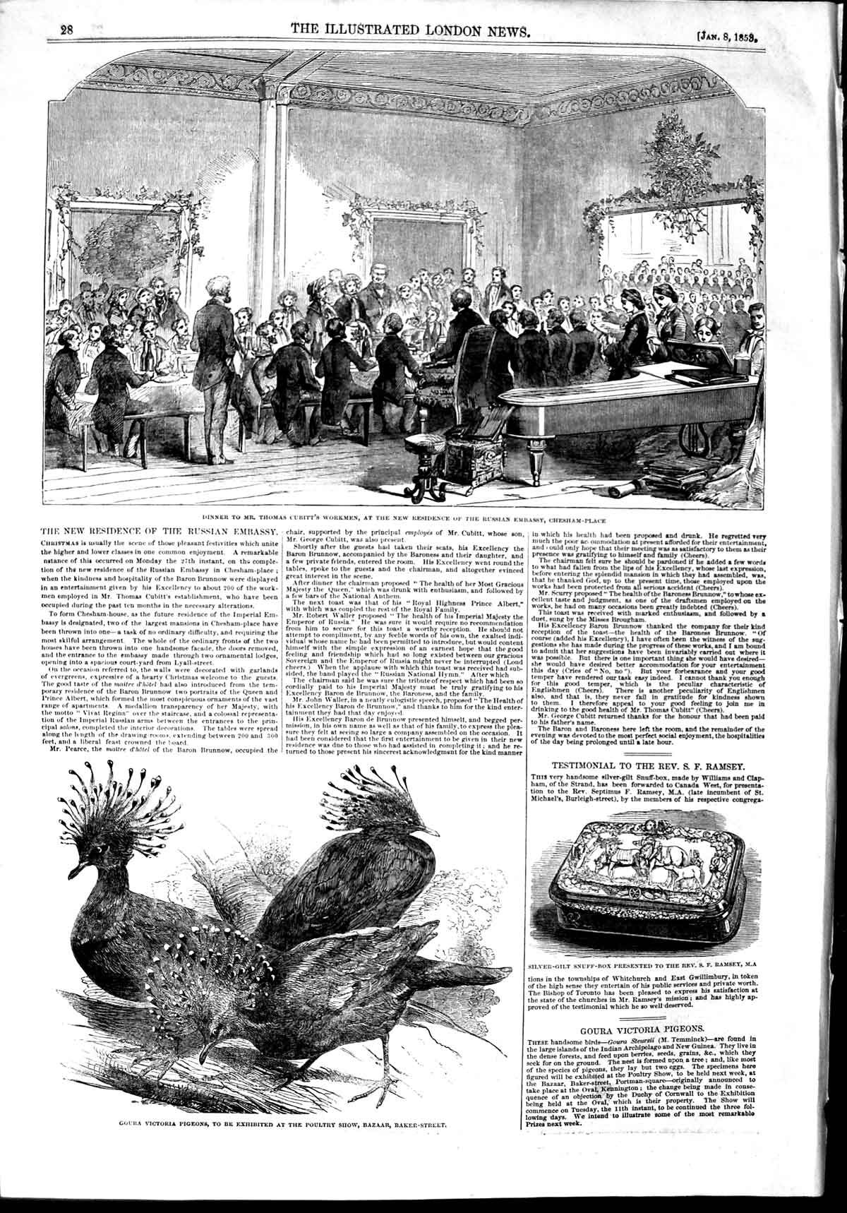 Old Antique Print 1853 Thomas Cubitt Russian Embassy Chesham Goura Pigeon 19th