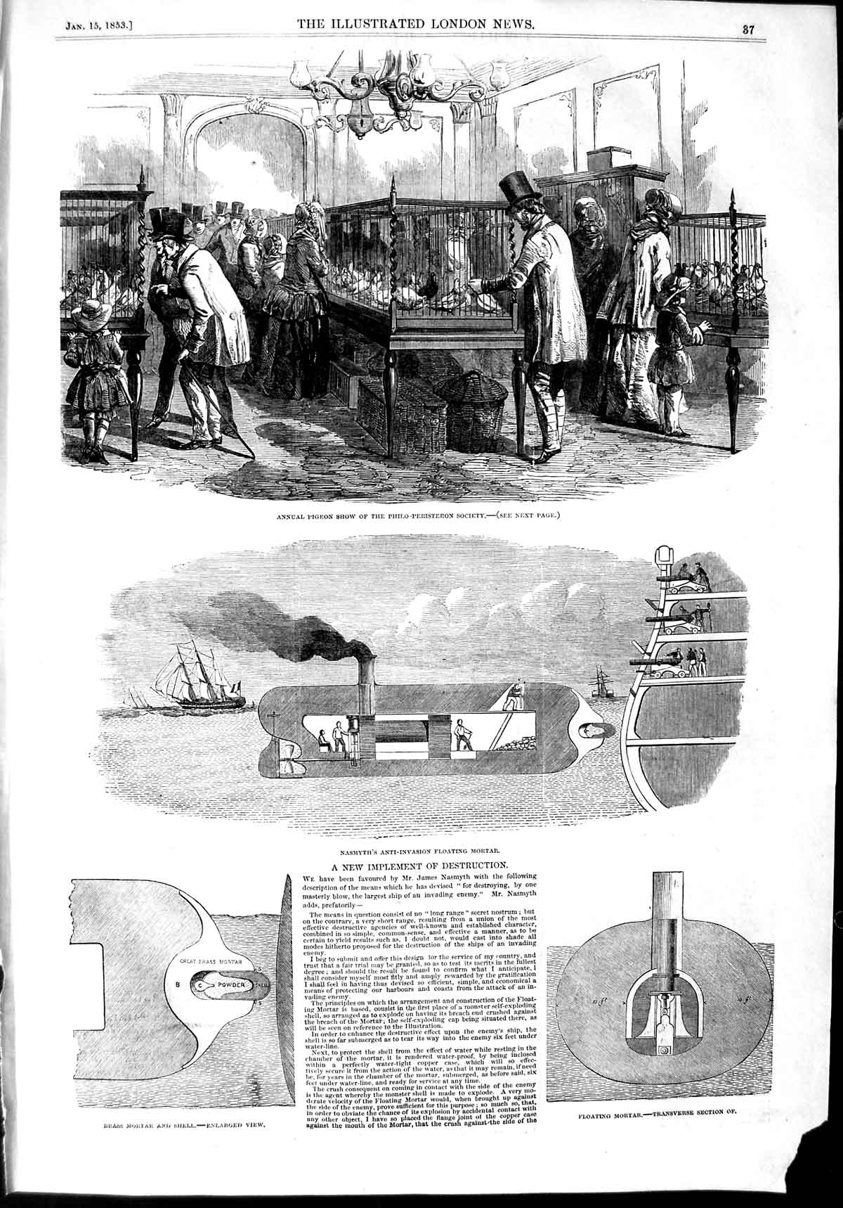 Original Old Antique Print 1853 Pigeon Philo-Peristeron Nasmyth Floating 19th