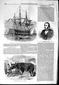 Old Antique Print 1853 Queen Sloop Ship Rattlesnake Seymour Ox Uncle Tom 19th