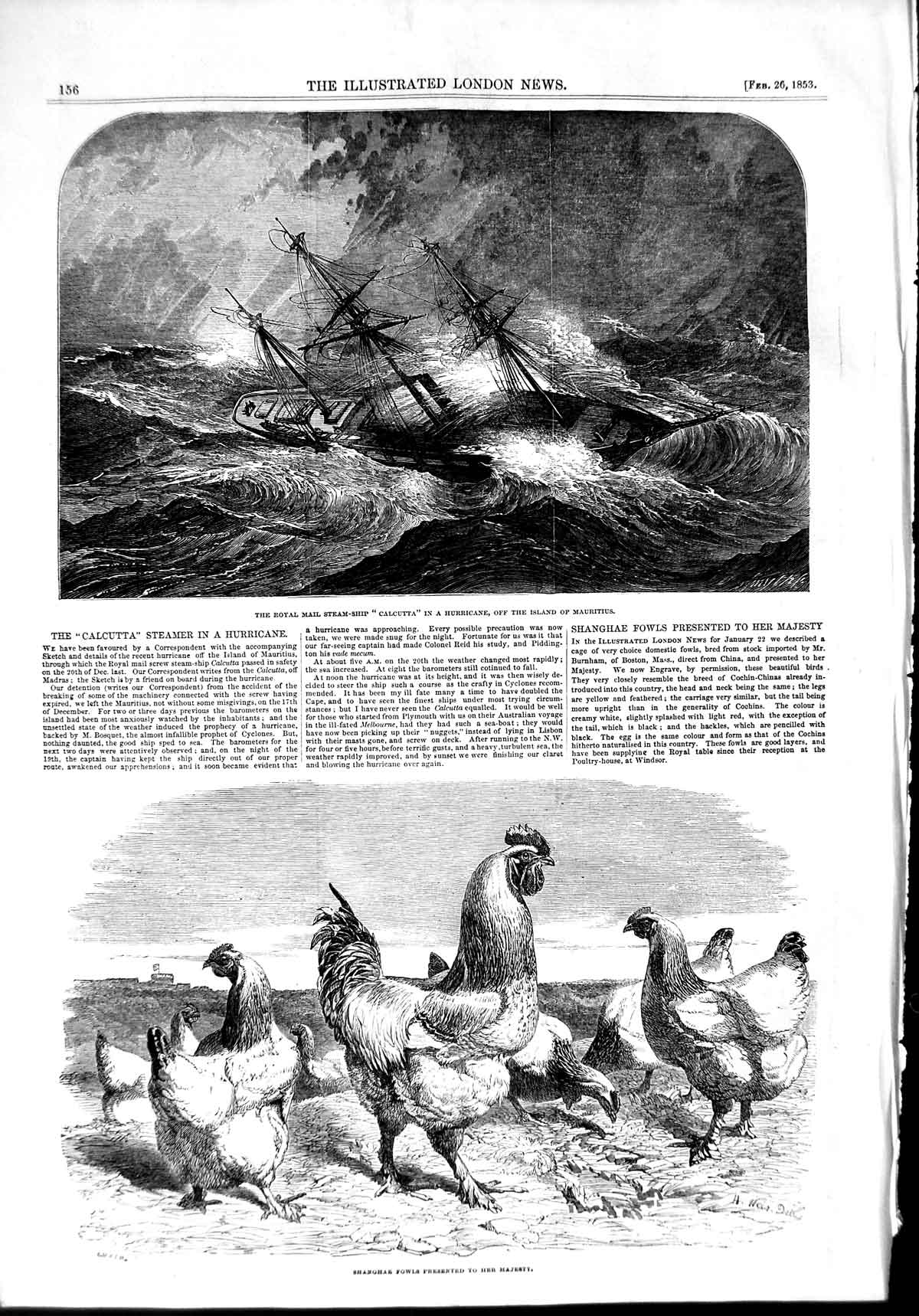 Old Antique Print 1853 Royal Mail Steam Ship Calcutta Mauritius Shanghae 19th