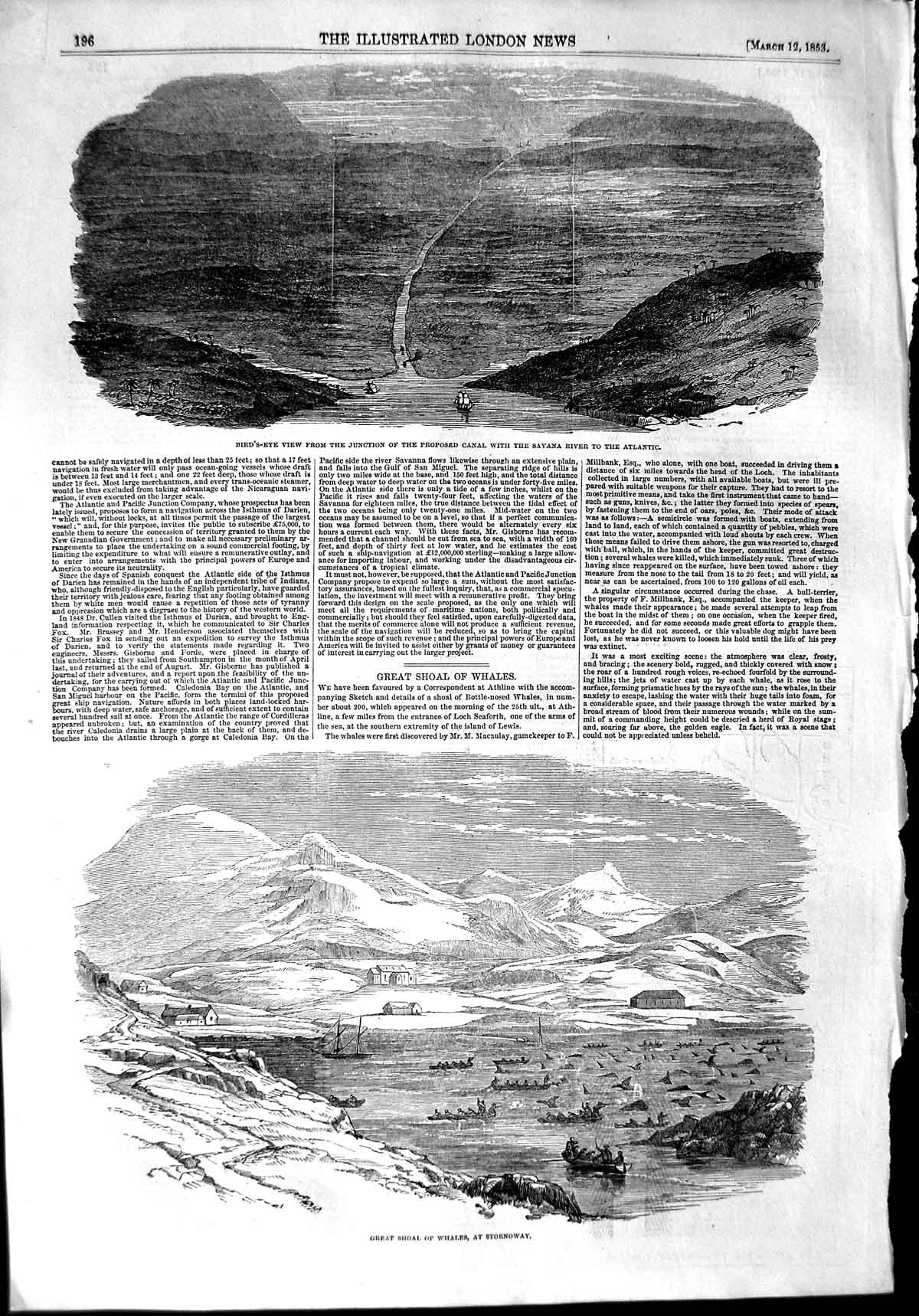 Original Old Antique Print 1853 Junction Canal Savana River Whales Stornoway