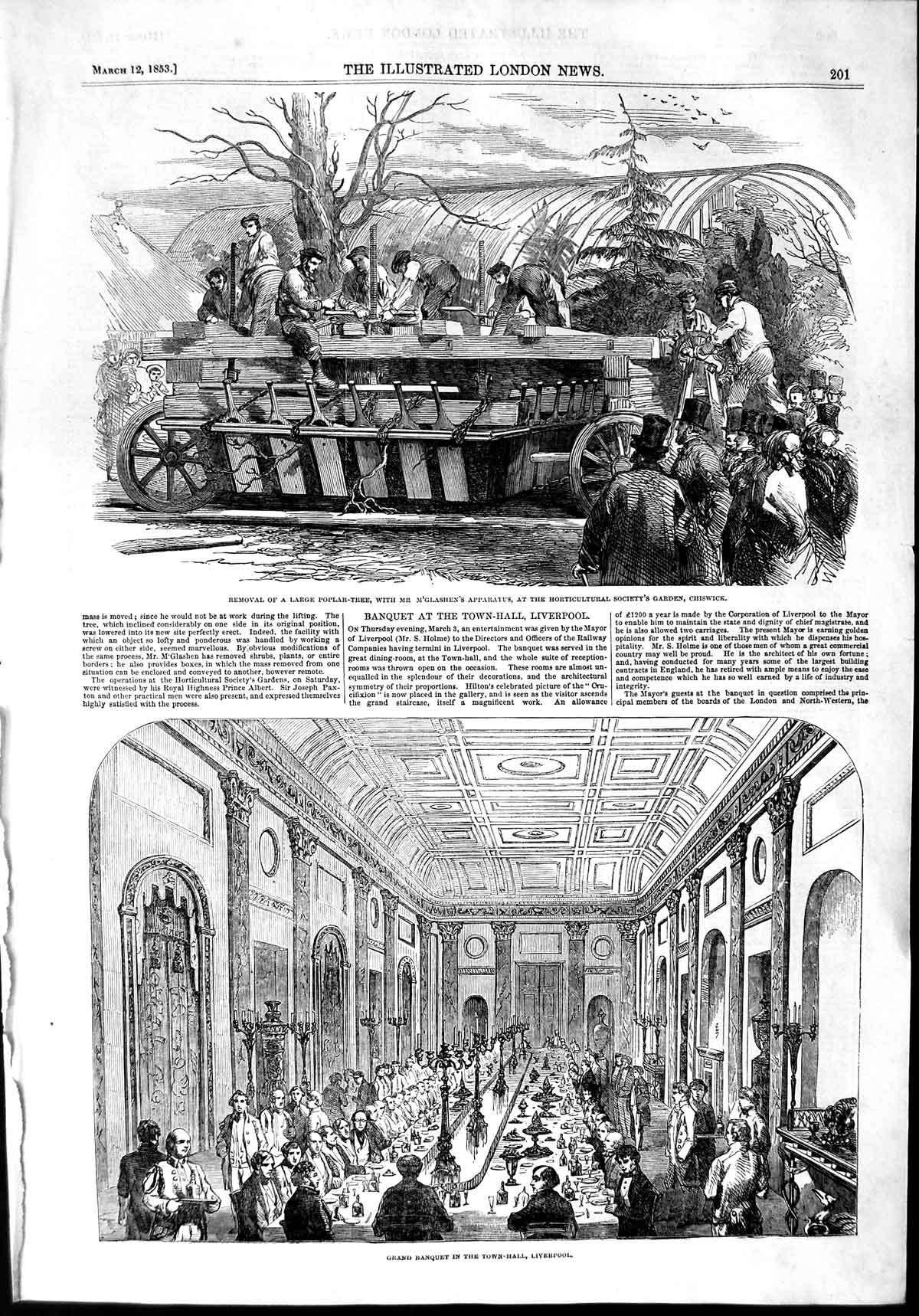Old Antique Print 1853 Poplar Tree M'Glashen Chiswick Town-Hall Liverpool 19th