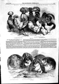 Original Old Antique Print 1853 Kent Poultry Baker Rawson Clinton Rabbits Fowls