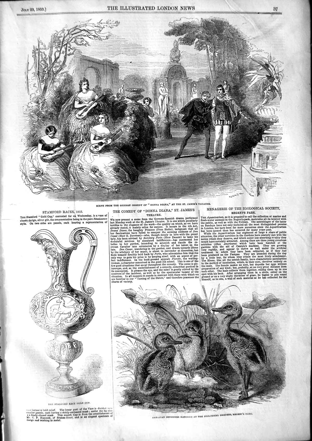 Old Antique Print 1853 Donna Diana James'S Theatre American Ostrich Cup 19th