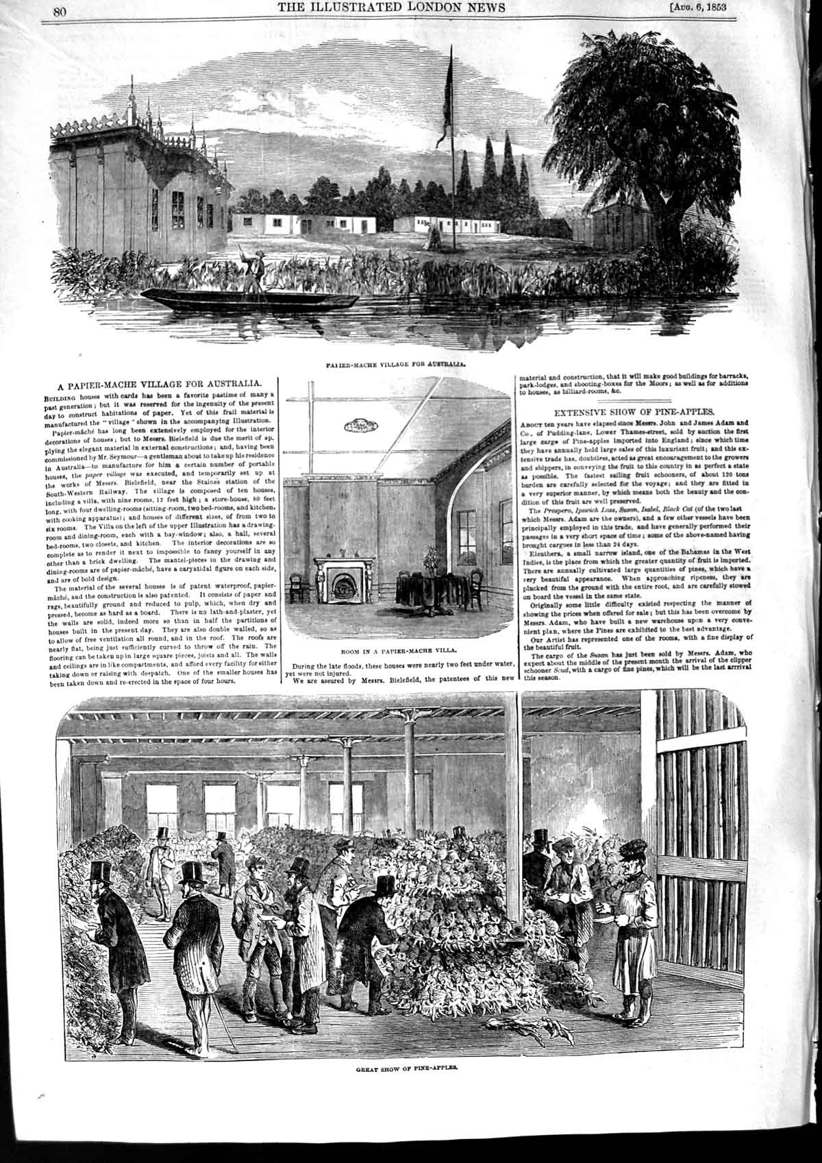 Original Old Antique Print 1853 Papier-Mache Village Australia Show Pine-Apples