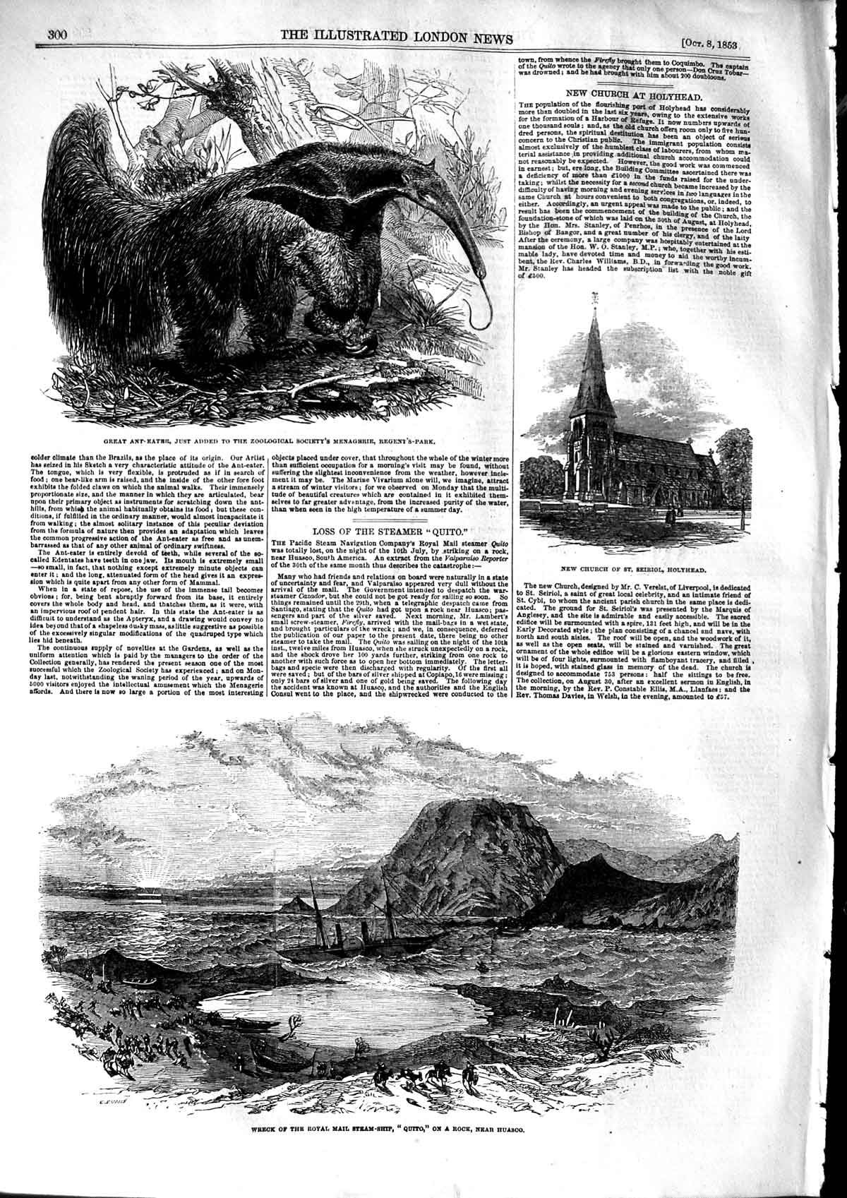 Old Antique Print 1853 Ant-Eaters Church Holyhead Ship Wreck Quito Huasco 19th