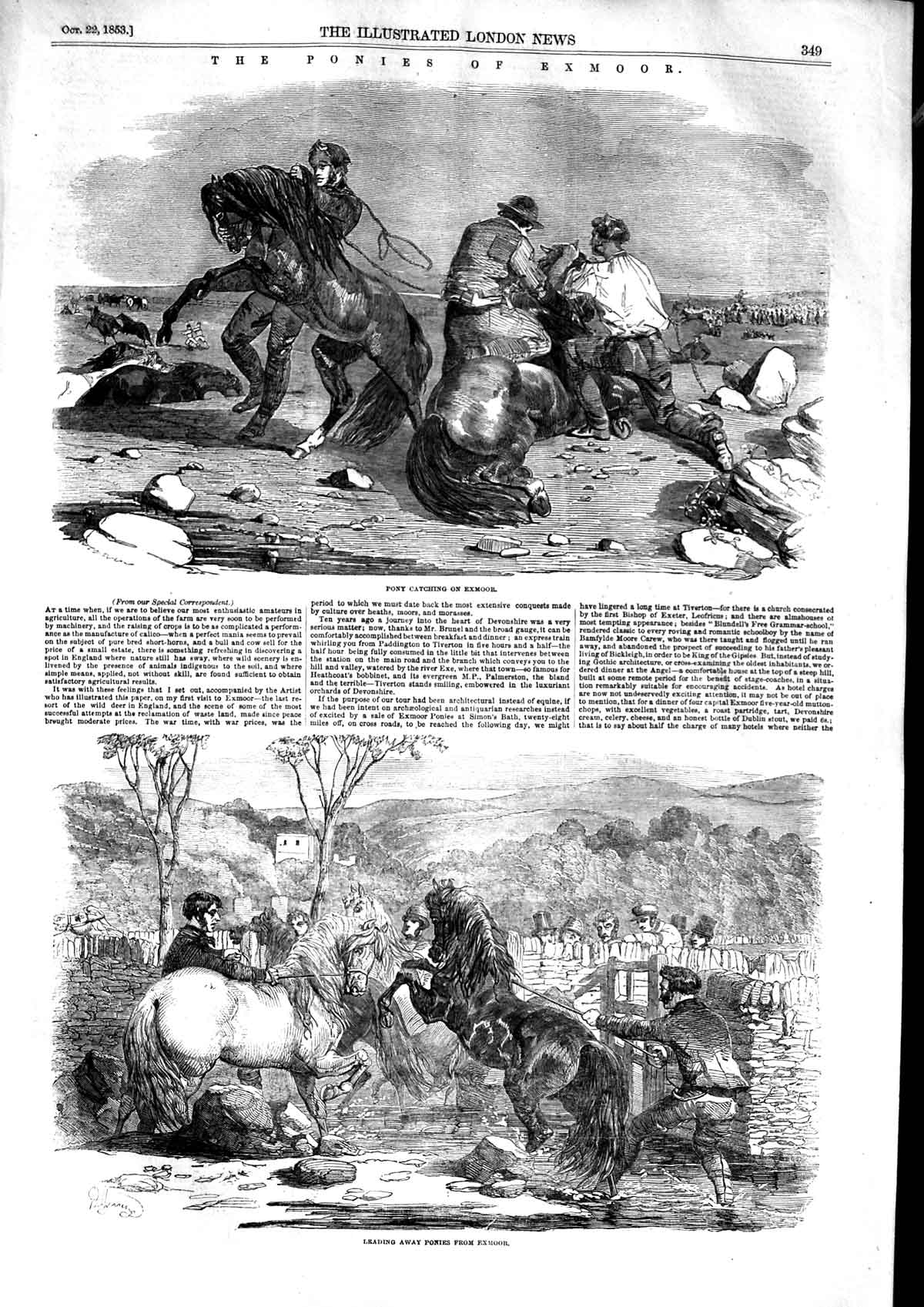 Original Old Antique Print 1853 Catching Ponies Exmoor Horses England Victorian