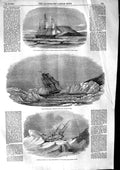 Original Old Antique Print 1853 Ship Wreck Investigator Ballast Baring Victorian