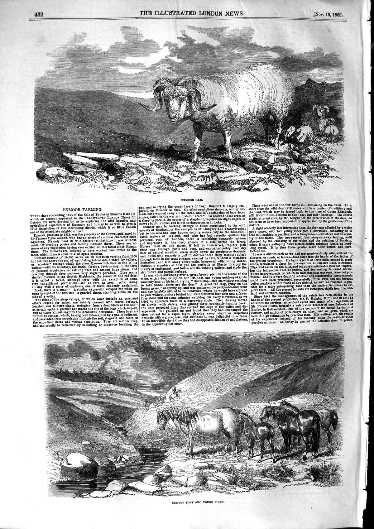 Original Old Antique Print 1853 View Exmoor Ram Pony Horses Mountains Animals