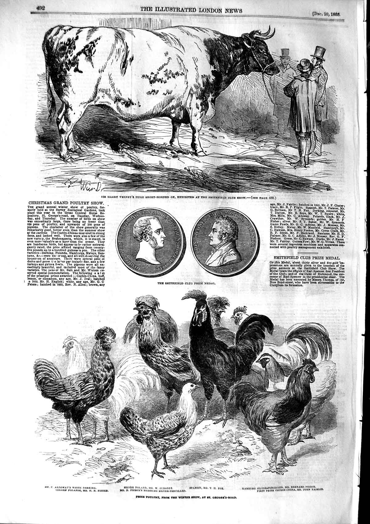 Original Old Antique Print 1853 Harry Verney Short-Horned Ox Smithfield Poultry
