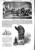 Original Old Antique Print 1853 Sea Ice GAdelphi Theatre Elephant Feat Victorian