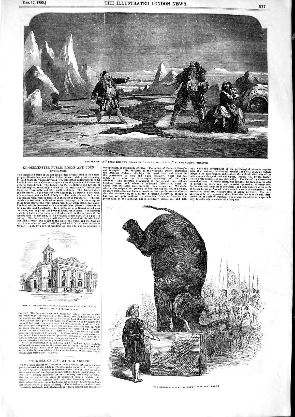 Original Old Antique Print 1853 Sea Ice GAdelphi Theatre Elephant Feat Victorian