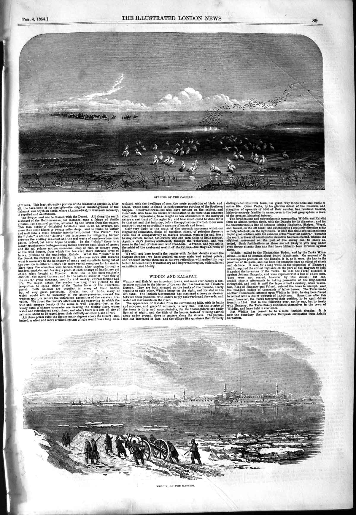 Original Old Antique Print 1854 Steppes Caspian View Widdin River Danube Birds