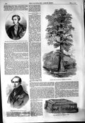 Old Antique Print 1854 Earl Carnarvon Tree California Brunnow Layard Box 19th