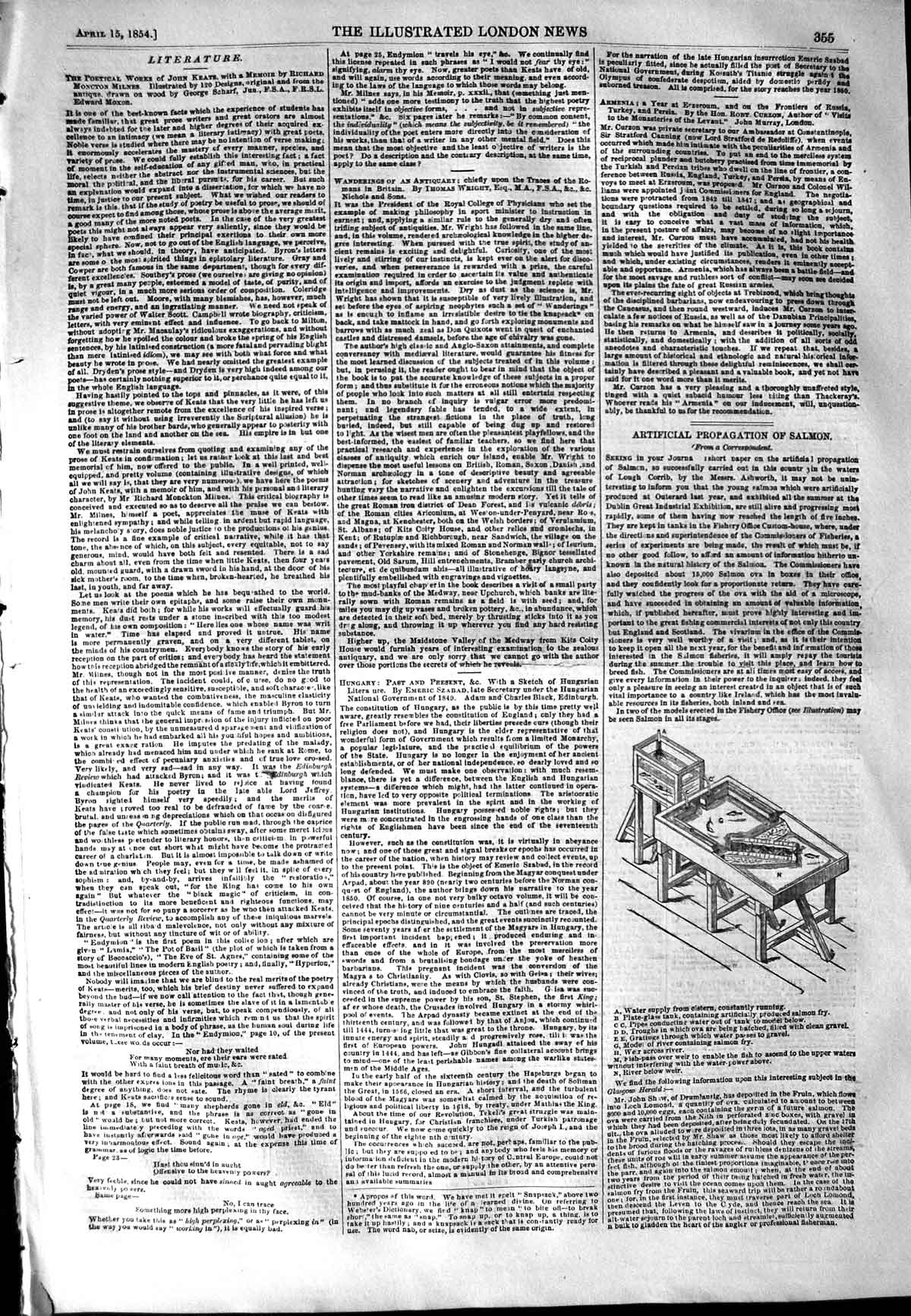 Original Old Antique Print 1854 Artificial Propogation Salmon Machinery 19th