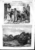 Old Antique Print 1854 Woodland Trees Cattle Letter-Writer Seville Spain 19th